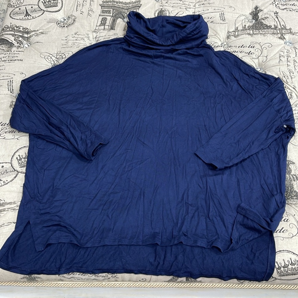 Caslon Long Sleeve Cowl Neck Tunic